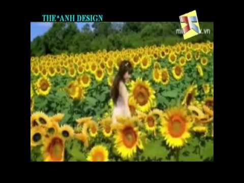 doi hoa mat troi - huynh nha lam karaoke beat.avi