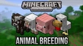 Minecraft How to breed all animals with correct food updated aspects  including XP - YouTube