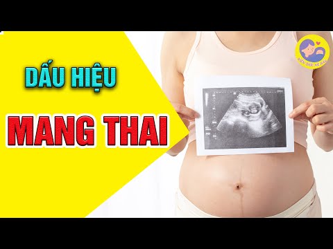 Video: Bụng To Lên Nhanh Như Thế Nào Khi Mang Thai?