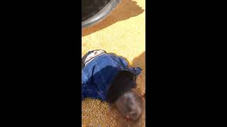 Girl goes down tube slide and faceplants into corn kernels
