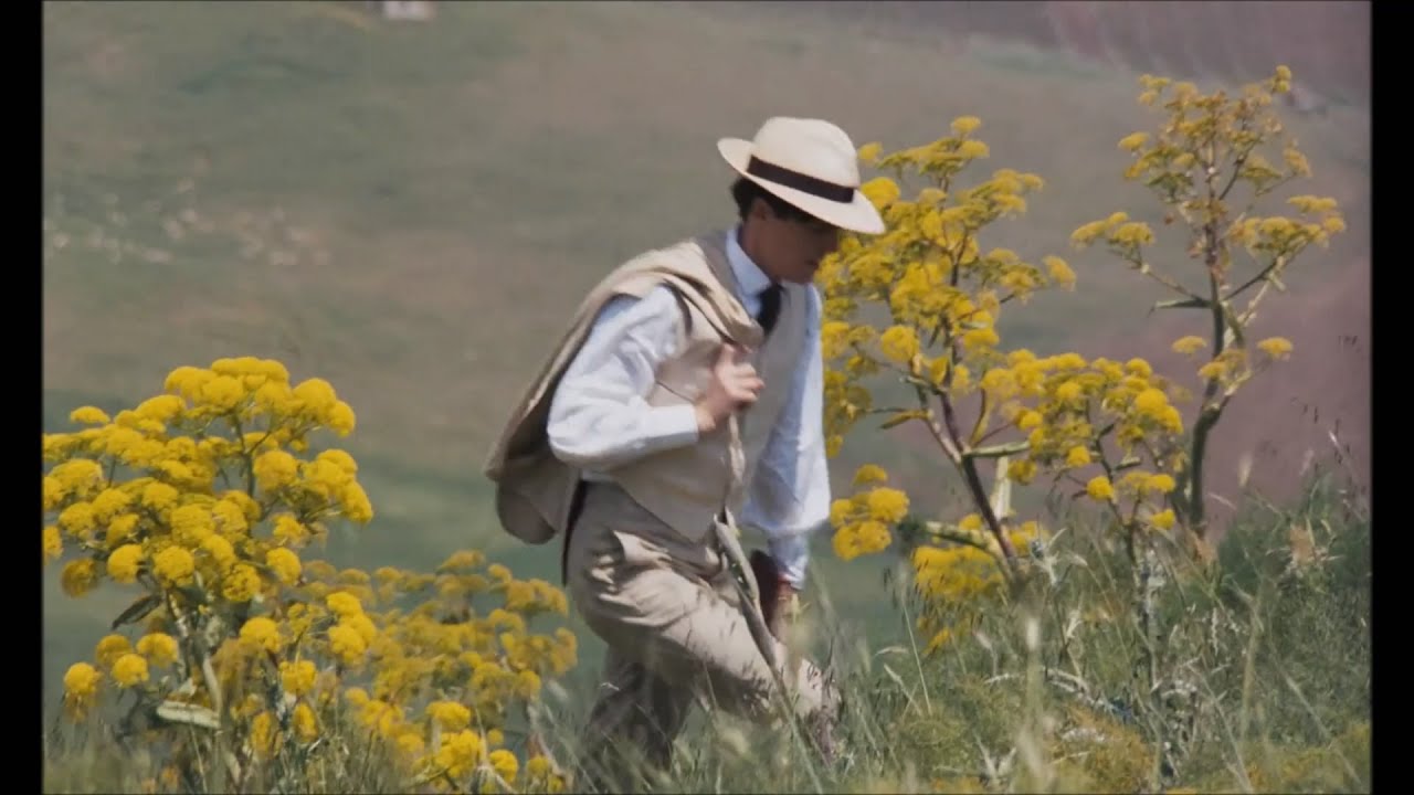 feeble little horse - Picture