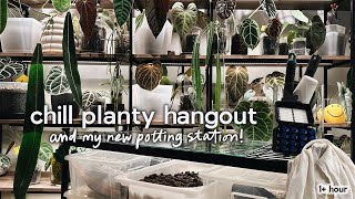 my new rolling plant potting station & growth updates! 🪴