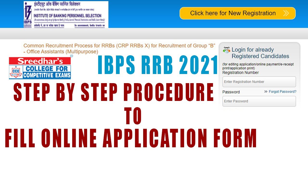 How to Fill IBPS RRB 2021 Online Application Form Step by Step | How to Apply for IBPS RRB 2021