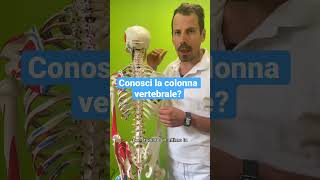 Here's the spine. #back #spine #cervical #dorsal #wellbeing #health