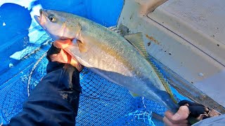 ティップランのロッドでＳＬＪしてみた！後半はタイラバですI went fishing for red sea bream with Japanese ”Tairaba".