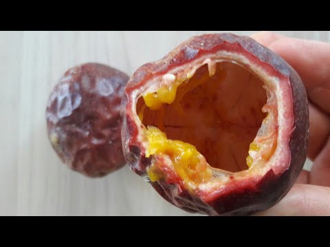 Video: Tutku meyvesi kabuğu yiyebilir misin?