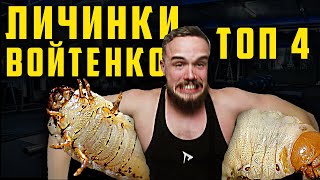 2 СМЕШНЫЕ ЛИЧИНКИ ИГОРЯ ВОЙТЕНКО / врот тз дрим!