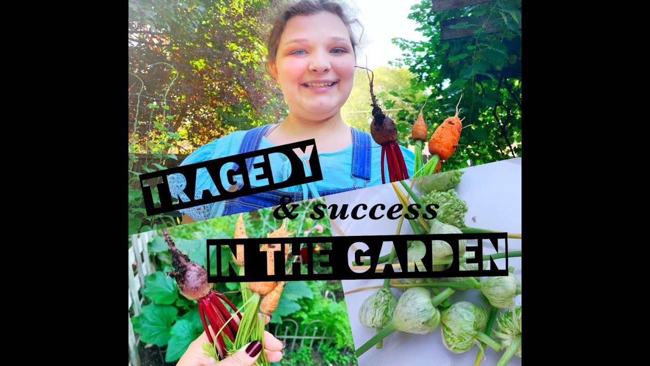 TRAGEDY & Success in the Garden // Garden Tour // Our Homeschool Garden Part 5