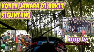 kmp tv.konin super mewah turun gunung di bukit siguntang.lagu by Dedi koken