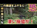 【廃墟】県道の脇道に廃道を見つけたので上がってみたら…