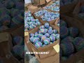 Batch printing dragon eggs in a 3D print farm 🐉🥚#3dprinting #3dprinter #filament #3dfilament