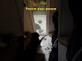 My friend had an uninvited guest…