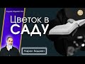 Цветок в саду | #Аарон_Баджен