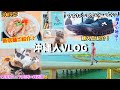 【沖縄人VLOG】新店舗 沖縄そば！靴紹介、猫達の近況 #いしじゅーさぁ #ONクラウドモンスターヴォイド #マリリンファミリー