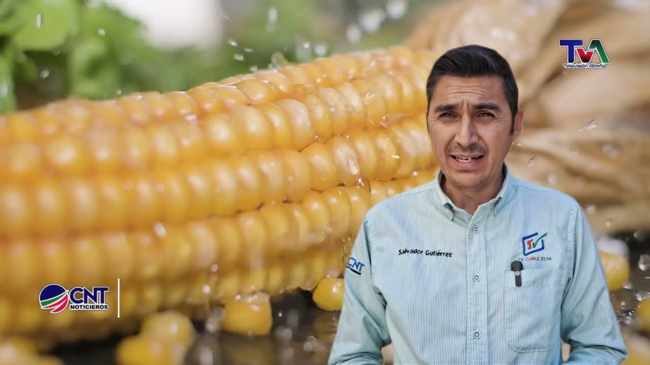 🌽🤝 Gobierno de Tepatitlán lanza preventa de semilla de maíz en apoyo al campo