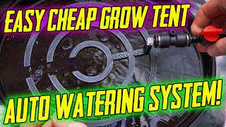 Easy Automatic Watering Setup!
