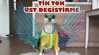 Köpeği̇mle Üst Deği̇şti̇rme Vi̇deosyu Yaptim