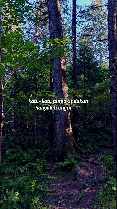 #motivasi #motivasidiri #quotes #feedshorts #storywa