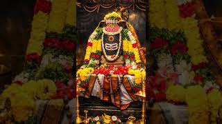 #viral #devotional