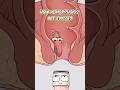 How Hemorrhoids Get Evicted