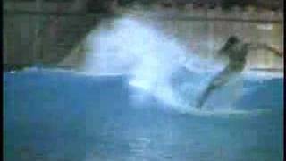 Shane O surfs TYPHOON LAGOON wave pool - THE CHLORINE CLASSIC!!