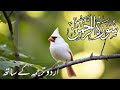 SURAH RAHMAN TARJUMA KE SATH | Epi 475 | Surah Rahman By mishray rashid alafasy | Beautiful Tilawat