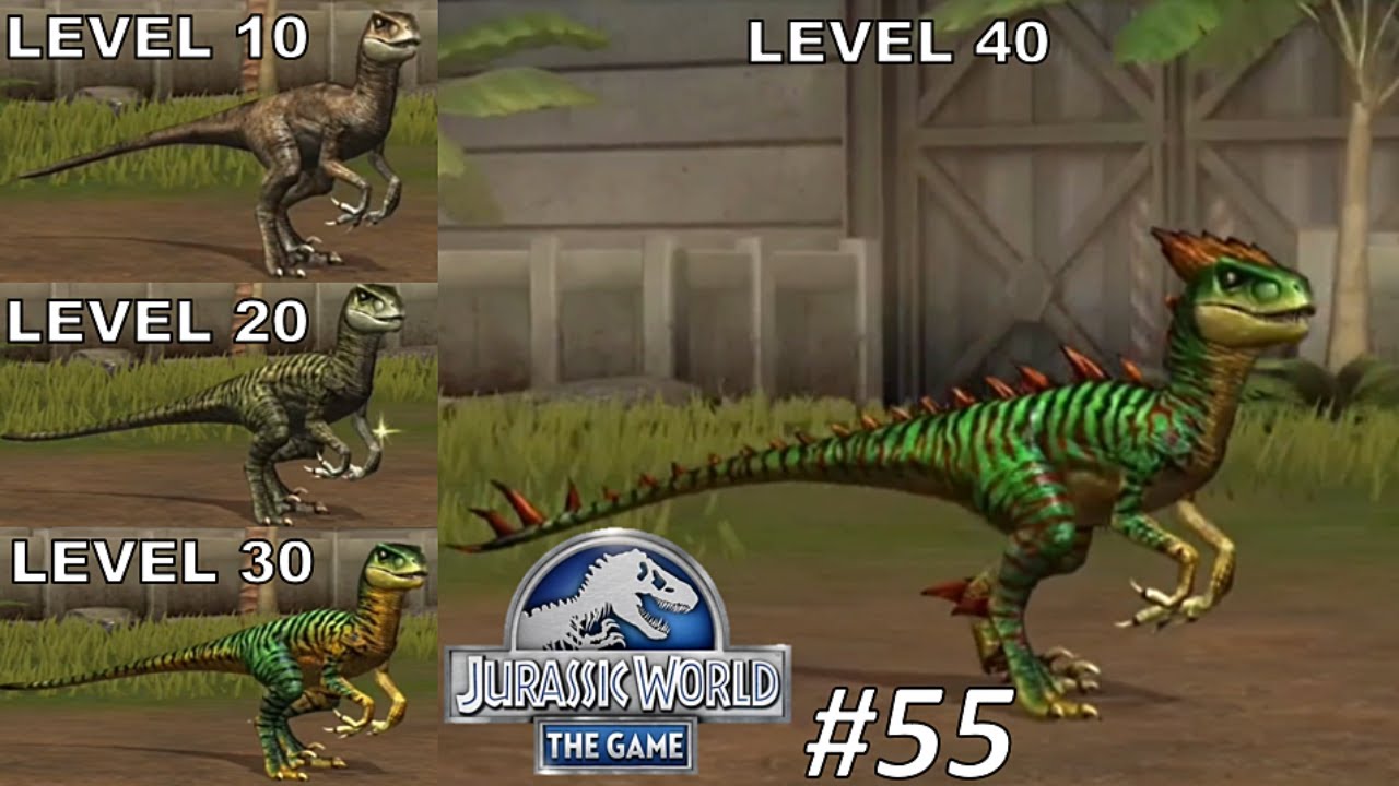 Velociraptor Max Level 40 Jurassic World The Game Dinosaurs Battle 55dinosaurs Fighting 