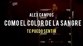 Como el color de la sangre (Te puedo sentir) - Alex Campos | Video Oficial chords