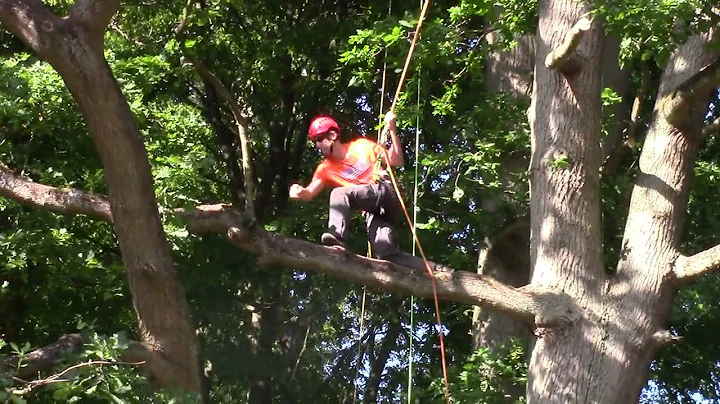 ETCC Germany 2019 - Work Climb - James Earhart