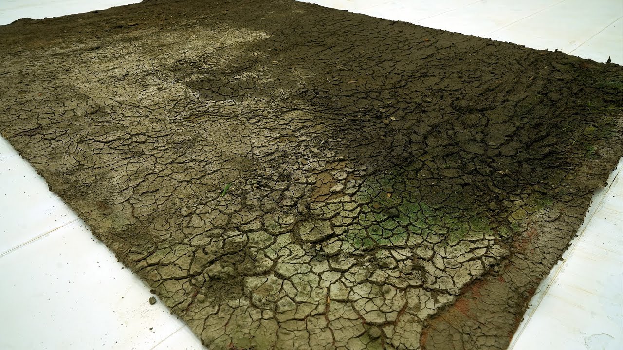 Dilapidated Rug From Cracked Dirt to Pure Beauty - The Most Satisfying Rug Cleaning You ...