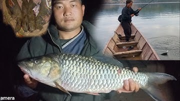 mus yos hav zoov nuv ntshe