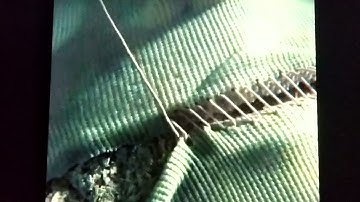 Coraline Suffer with me// Edit