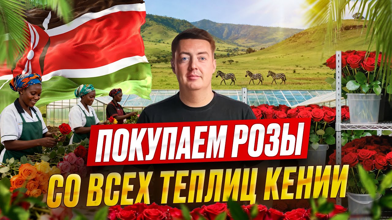 Где рождаются розы, о которых мало кто знает | Кения | Цветы оптом | Grand Flowers Group