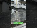 رخام اسود مصري قوي جدا وسعره خارج المنافسة رخام اسود مصري قوي جدا وسعره خارج المنافسة