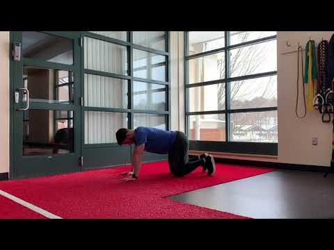 Bear Crawl Regressions