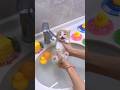 Did You See A Little Kitten Takes Its First Bath In The Water Cute Kitten Cat Meow Did You See A Little Kitten Takes Its First Bath In The Water Cute Kitten Cat Meow
