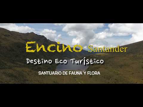 ENCINO SANTANDER DESTINO ECOTURÍSTICO