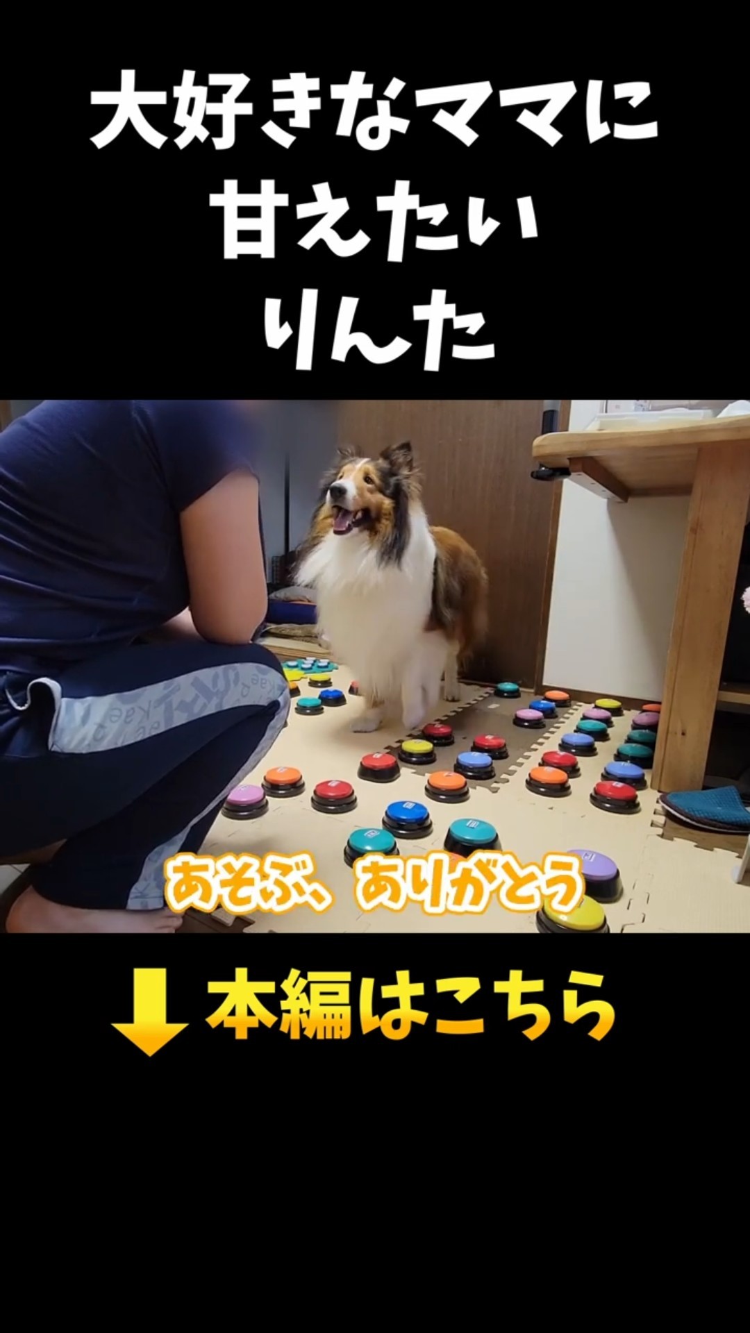 Talking Dog Rinta - YouTube