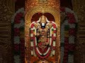 #tirupatibalaji#omnamonarayanaya#tirumala