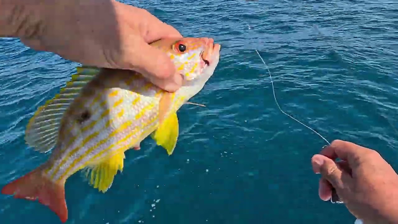 Reef Fishing Stuart Florida