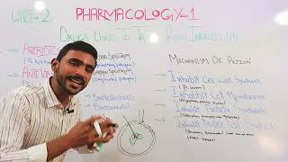 Antimicrobials, Antimicrobial Drugs, Antibiotics, Antivirals, and Antifungals