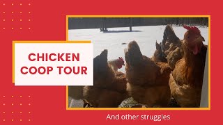 Chicken Coop Tour and Technical Difficulties YouTube