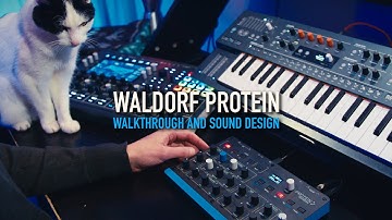 Waldorf Protein - Sounds, walkthrough and sound design