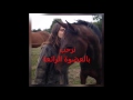لمى خالد لمى خالد