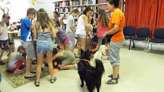 Olvasótábor 2017.08.01. 6