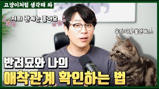 냐옹신이 알려주는 고양이와 나와의 애착관계 확인법! [교육 영상 있음]