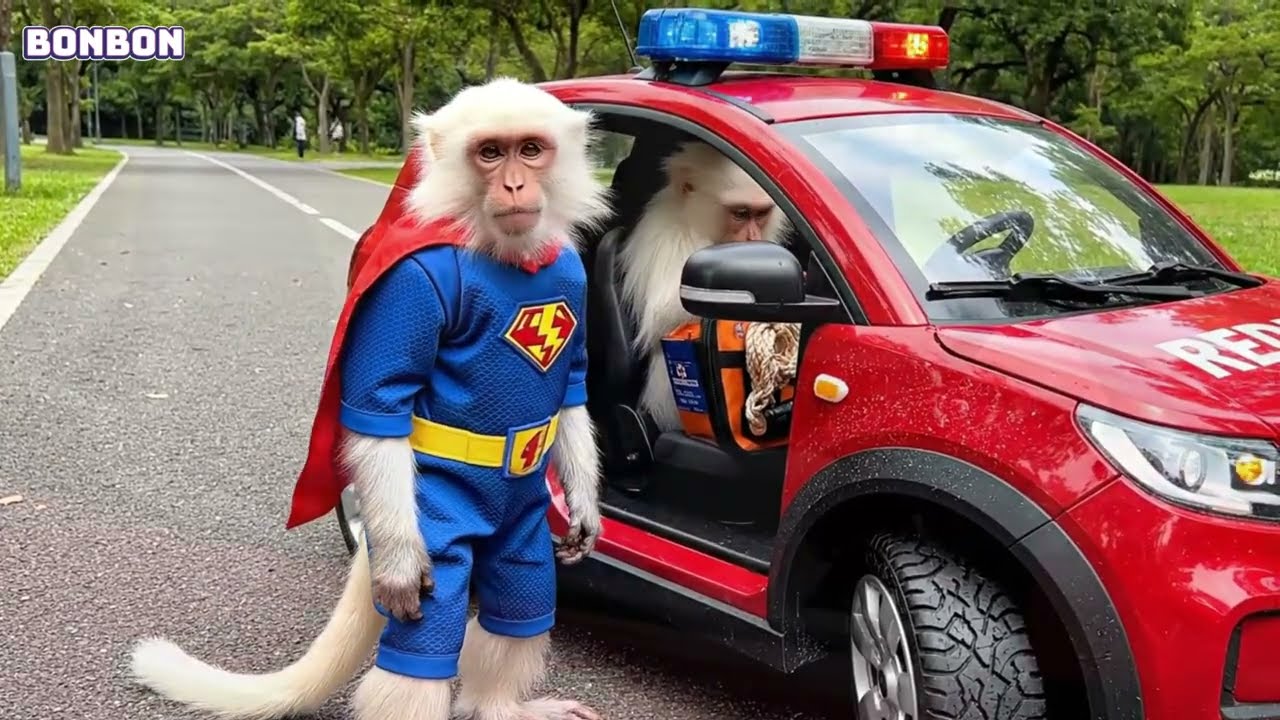 Cute Bon Bon Monkey Becomes a Superhero and Saves the Animals
