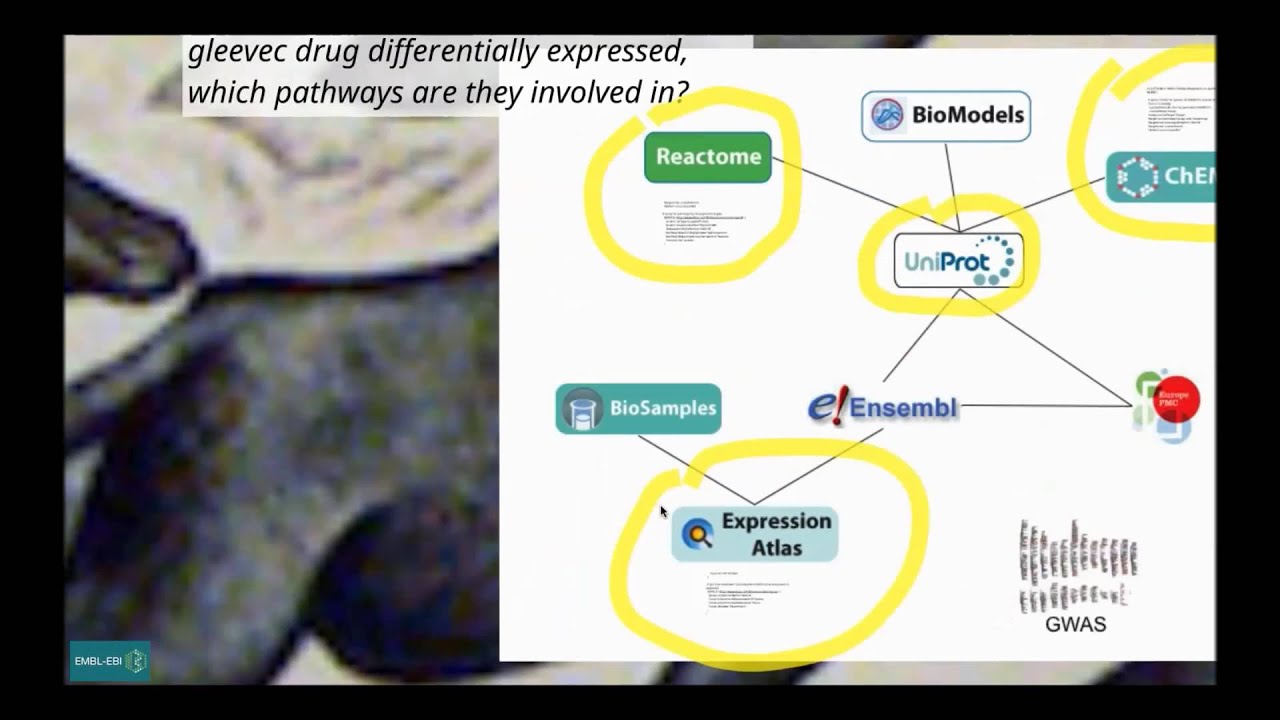 BioSamples Database RDF