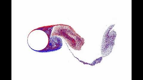 Von Karman street by discret vortex method (A Lagrangian Meshless Method)