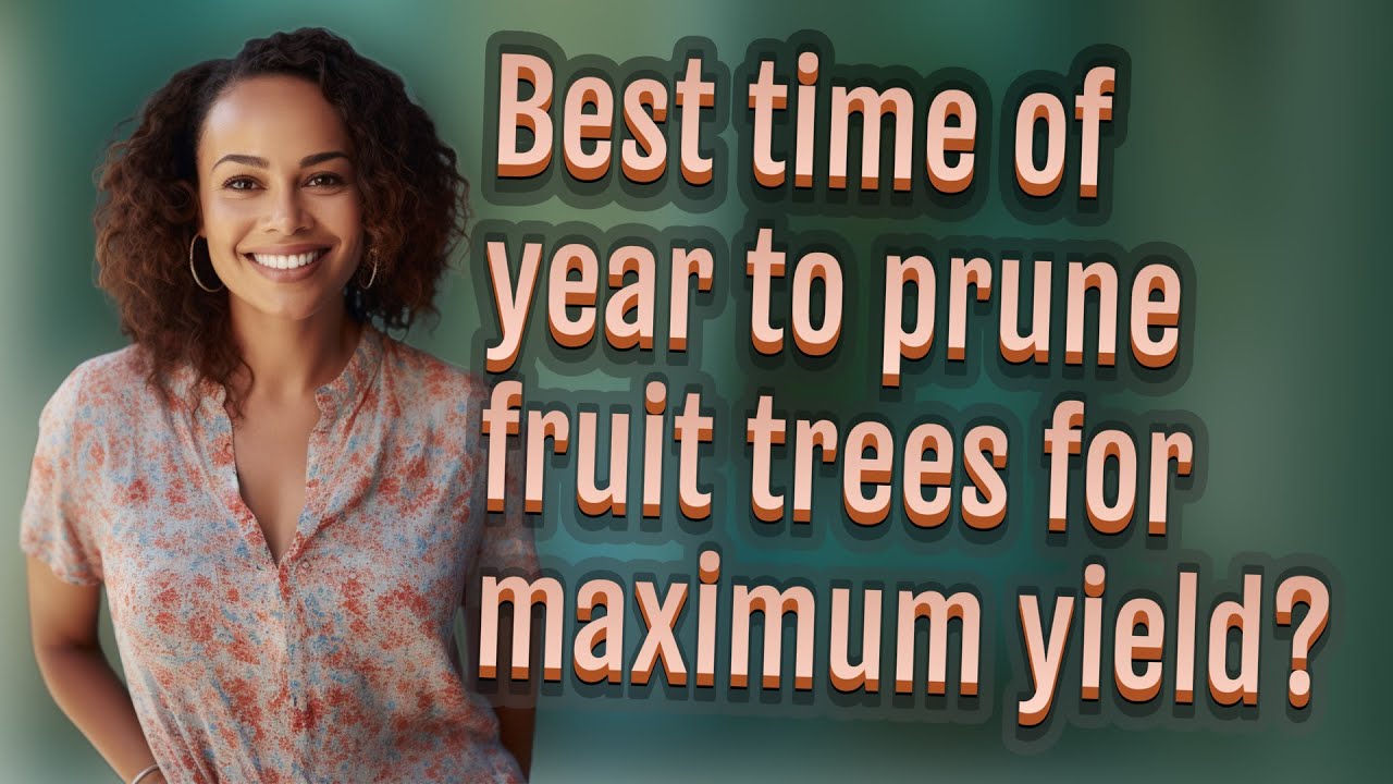 Best time of year to prune fruit trees for maximum yield? - YouTube